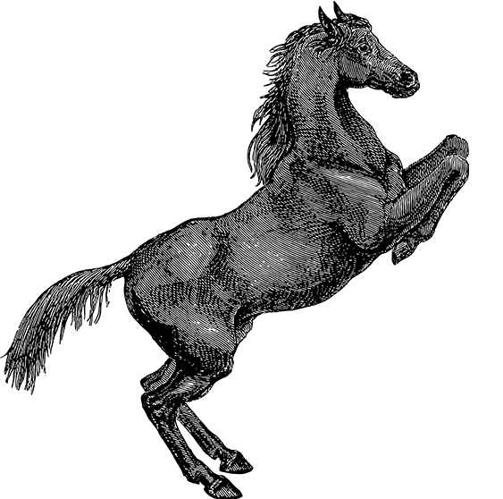 kaiyun